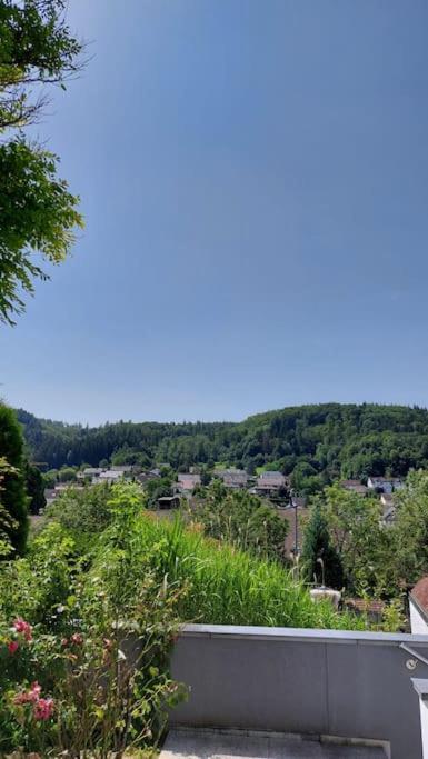 Apartment Talblick Kandern Buitenkant foto